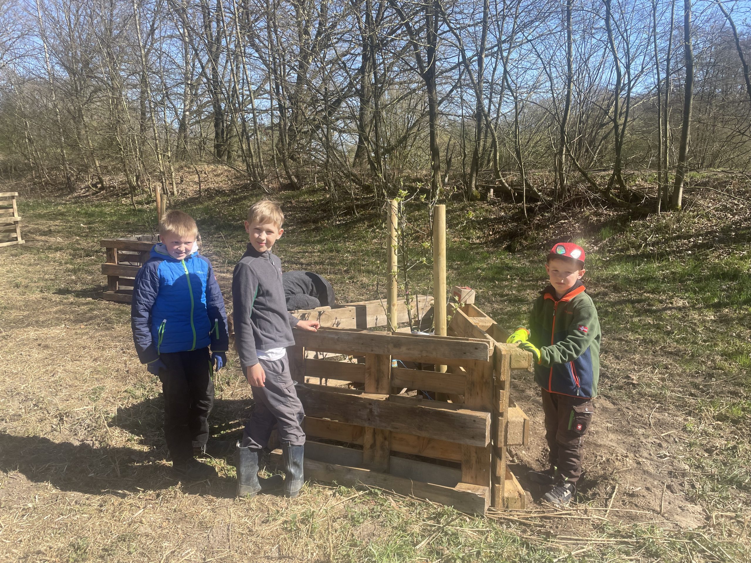 Mehr über den Artikel erfahren Pflanzaktion