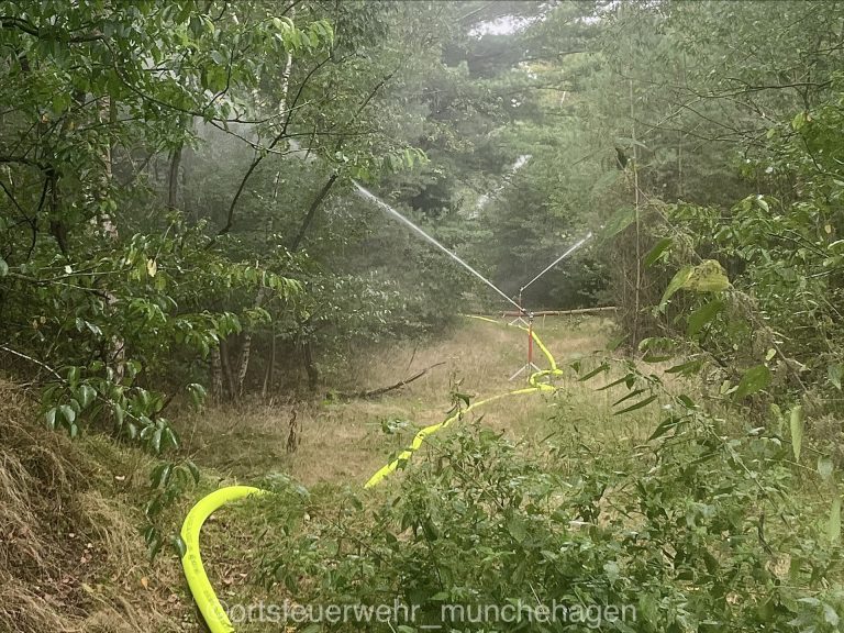 eZy Watermark_18-09-2025_02-49-59-9840PM